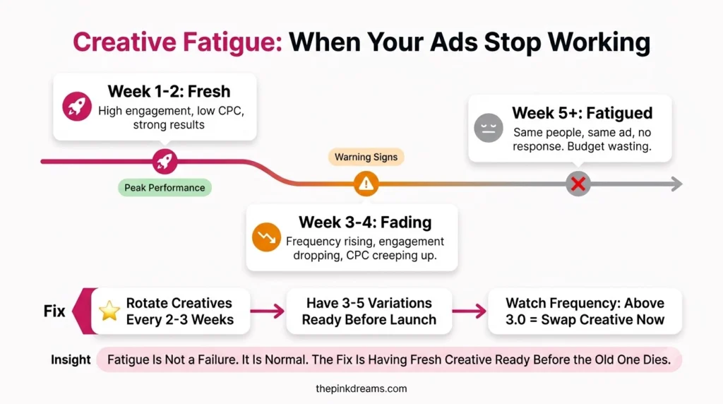 Creative fatigue affecting Instagram ads for small brands