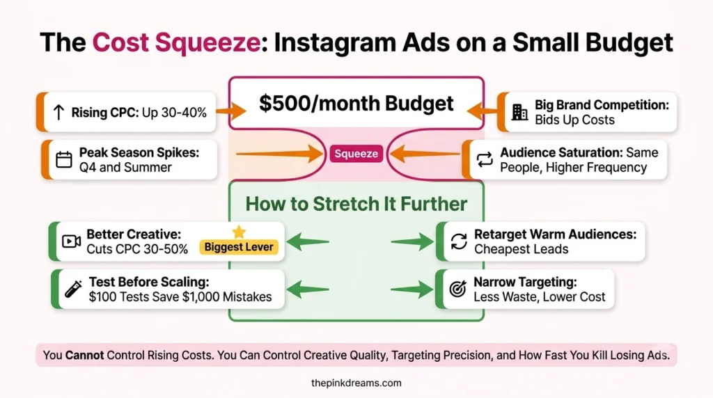 Instagram ad costs and budget challenges for small brands
